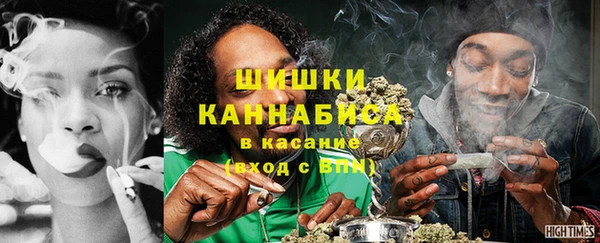 спайс Арсеньев